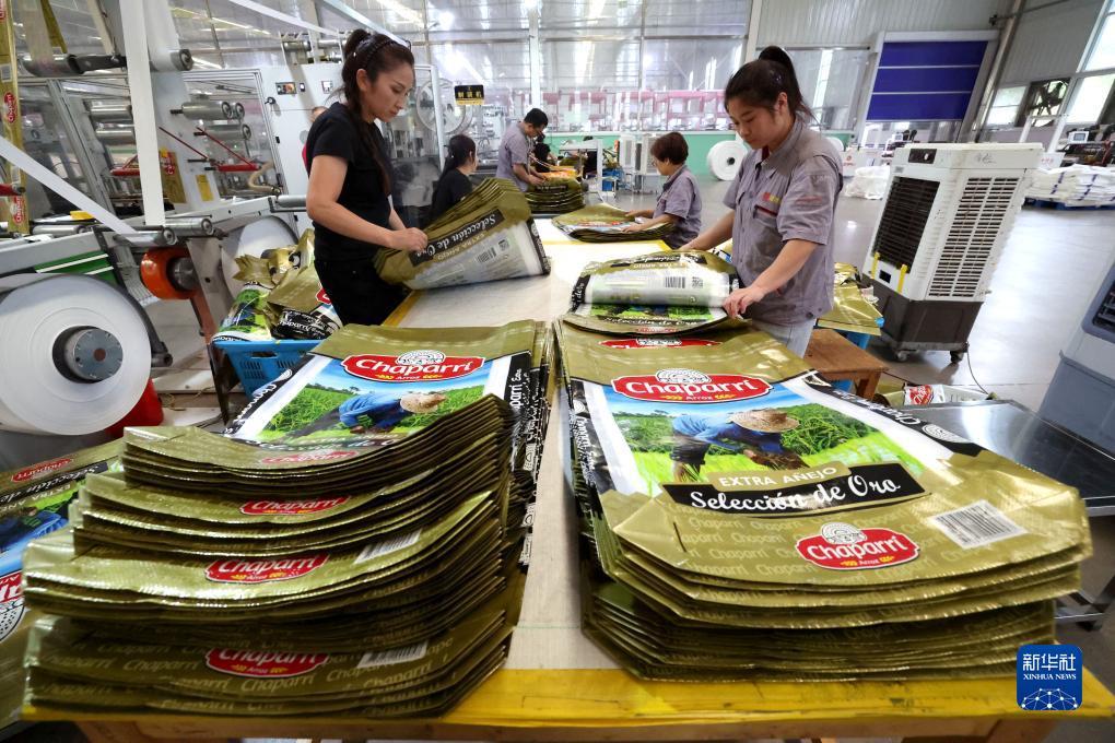通宝最新官网网址